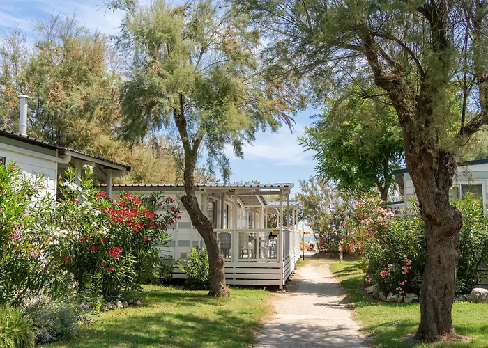 Club del Sole Stork Family Collection